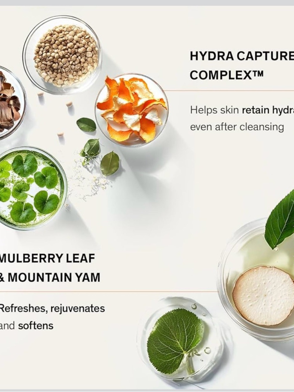 (NEW) Sulwhasoo Gentle Cleansing Foam — Cream - Picture 4 of 8